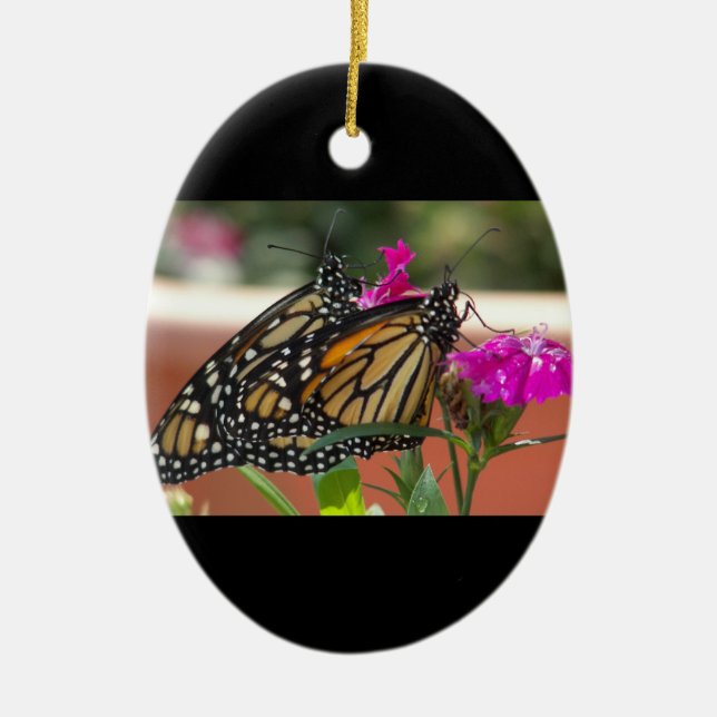 Monarch Twins #1-oval ornament (Front)