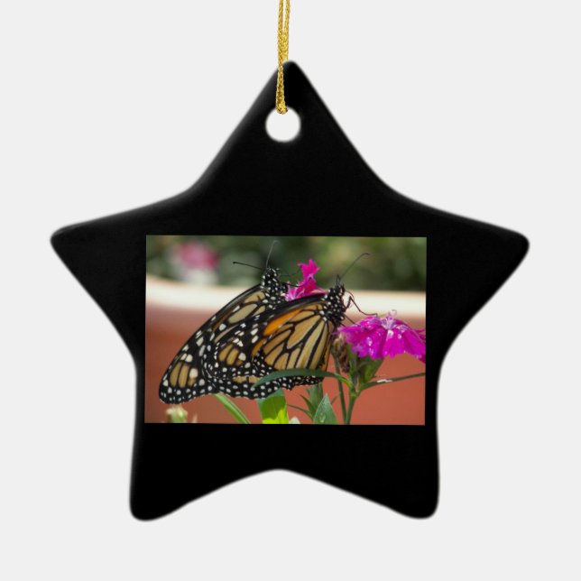 Monarch Twins #1-star ornament (Front)