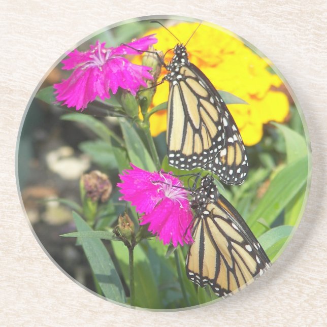 Monarch Twins #2-coaster Coaster (Front)