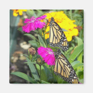 Monarch Twins #2-magnet Magnet