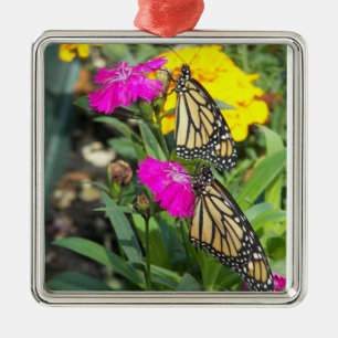 Monarch Twins #2-premium square ornament