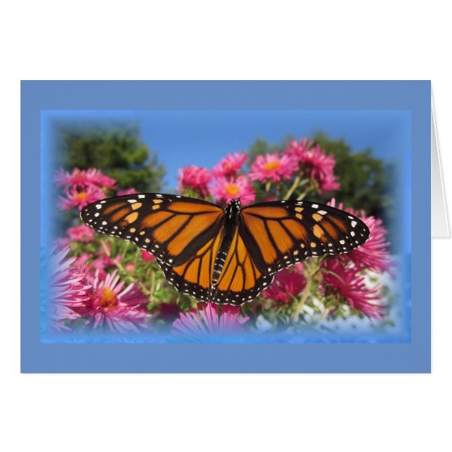 Monarch Wings - with blue vignette (Front Horizontal)