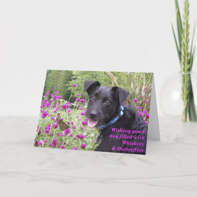 Monarch Wishes Card (Front)