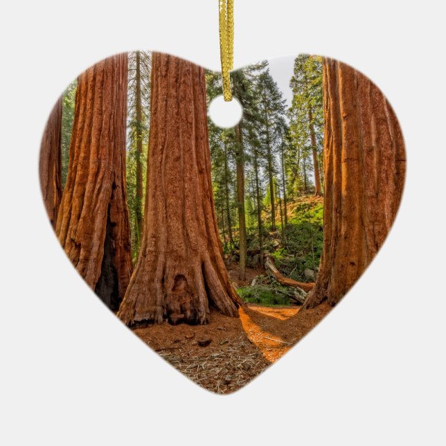 Monarchs of the Forest Ceramic Tree Decoration (Front)