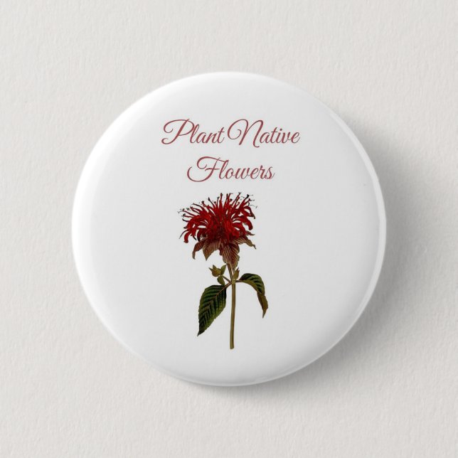 Monarda Plant Native Flowers Button (Front)