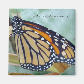 monark butterfly magnet