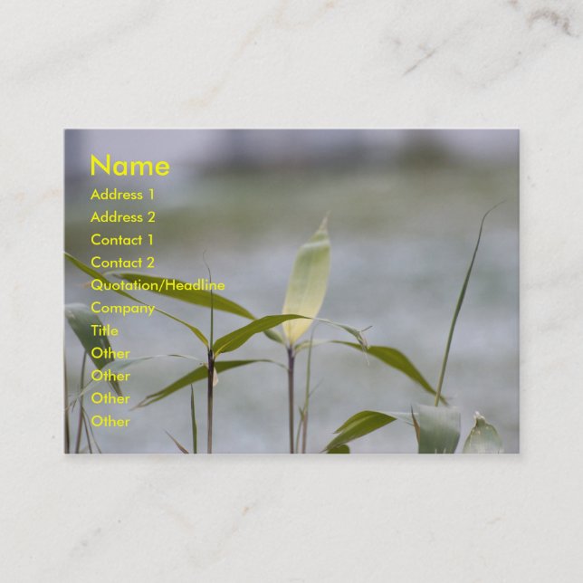Monastic tranquillity business card (Front)