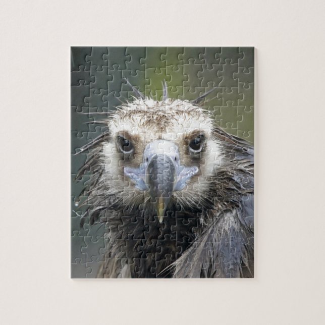 Mönchsgeier Jigsaw Puzzle (Vertical)
