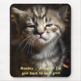 monday cat mouse pad