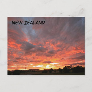 Monday Sunrise Postcard