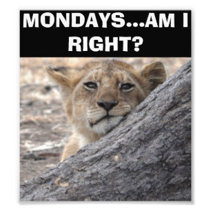 Mondays--Am I Right Poster