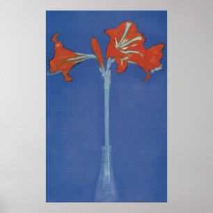 Mondrian Amaryllis in a Flash Poster