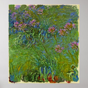 Monet - Agapanthus Flowers 1917 Poster