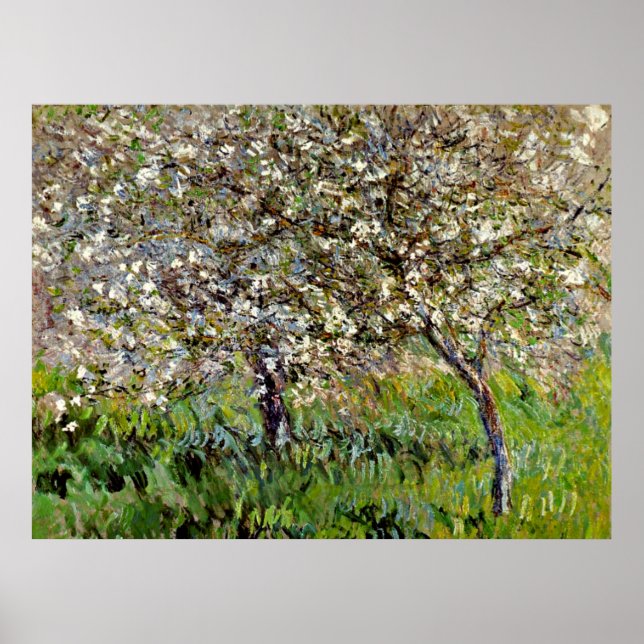 Monet - Apple Trees in Bloom Poster (Front)