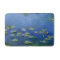 Monet Water Lilies Fine Art (1906)