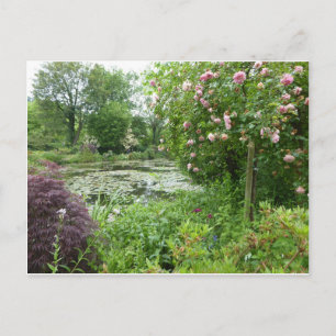 Monet's Garden Postcard