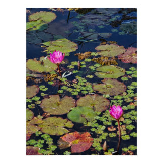 Monet's Garden Poster