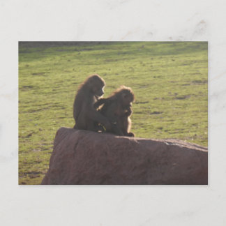 Money Friends Postcard