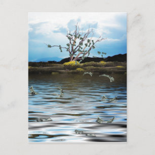Money Tree on a Windy Day Postcard