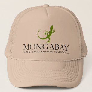 Mongabay Lizard Hat