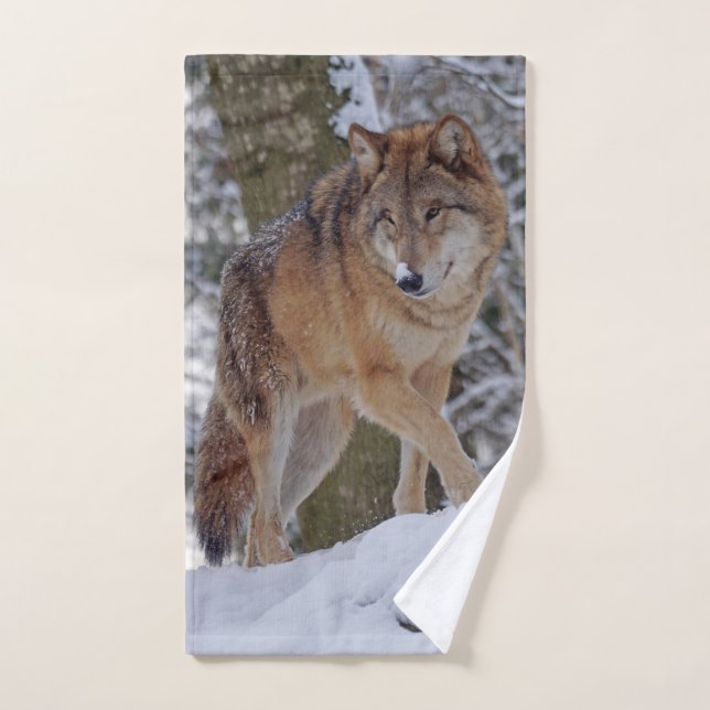 Mongolian alphawolf in snow hand towel (Hand Towel)