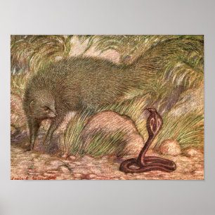 Mongoose and Cobra by Sargent, Vintage Wild Animal Poster