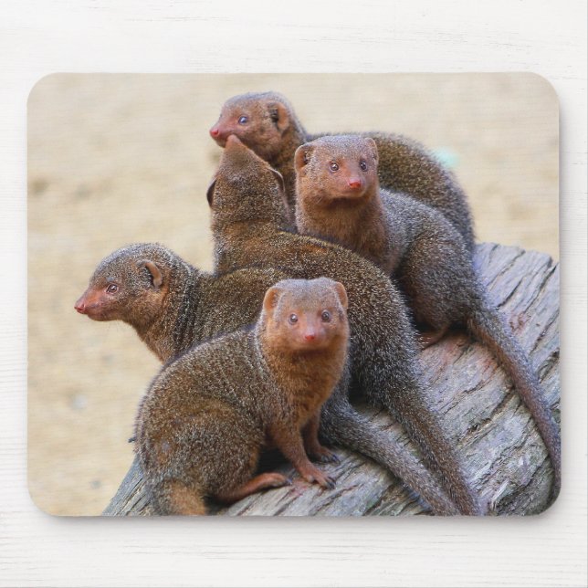 Mongooses Mouse Pad (Front)