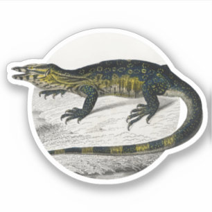 Monitor Lizard