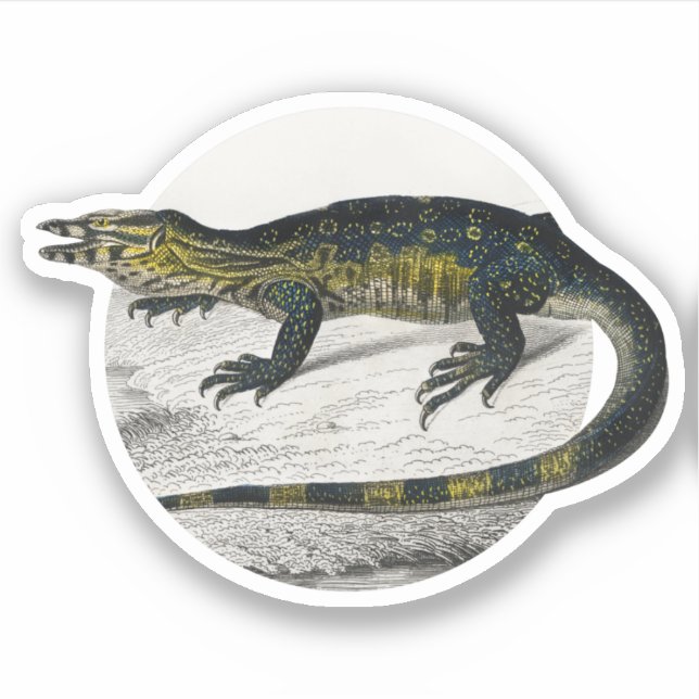 Monitor Lizard (Front)