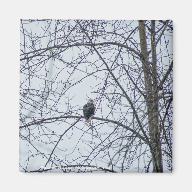 Monitoring Magnet (Front)