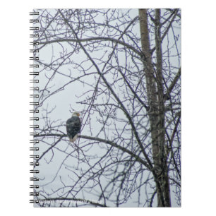 Monitoring Notebook
