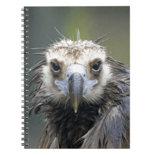 monk notebook