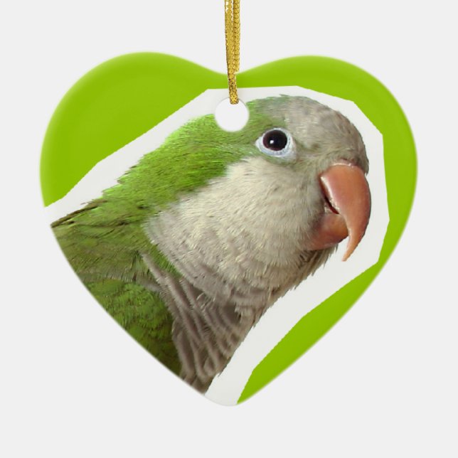Monk Parakeet Ceramic Tree Decoration (Front)