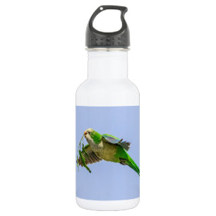 Monk Parakeet in the Rio Grande Valley 532 Ml Water Bottle