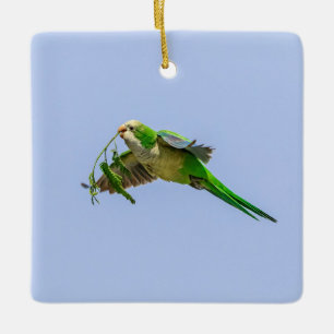 Monk Parakeet in the Rio Grande Valley Ceramic Ornament