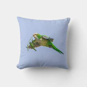 Monk Parakeet in the Rio Grande Valley Cushion