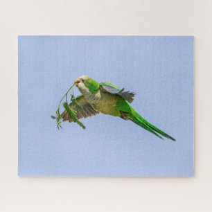 Monk Parakeet in the Rio Grande Valley Jigsaw Puzzle