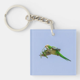 Monk Parakeet in the Rio Grande Valley Key Ring