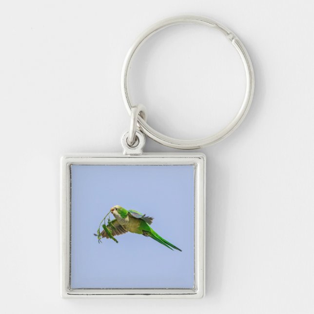 Monk Parakeet in the Rio Grande Valley Key Ring (Front)