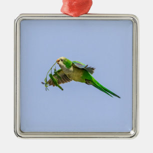 Monk Parakeet in the Rio Grande Valley Metal Ornament