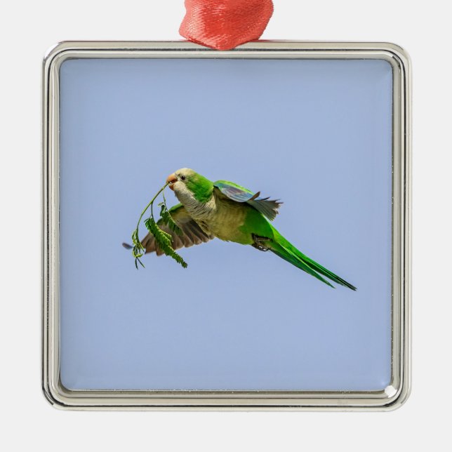 Monk Parakeet in the Rio Grande Valley Metal Ornament (Front)