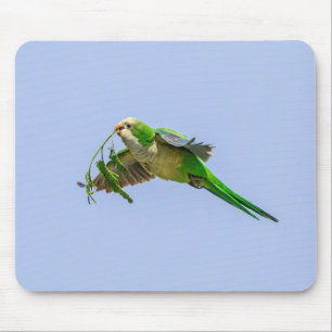 Monk Parakeet in the Rio Grande Valley Mouse Pad