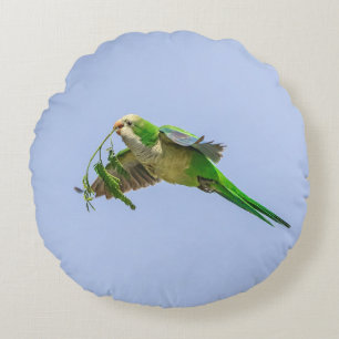 Monk Parakeet in the Rio Grande Valley Round Cushion