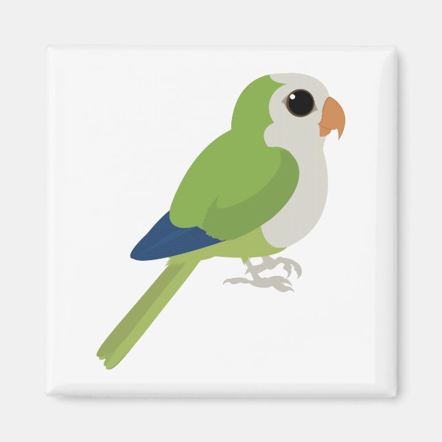 Monk Parakeet Magnet (Front)