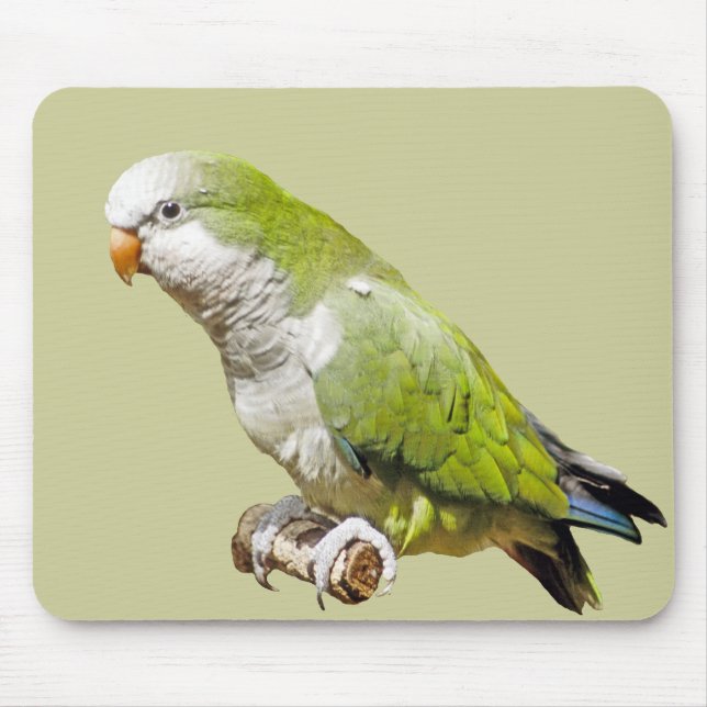 Monk Parakeet Mouse Pad (Front)