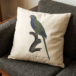 Monk Parakeet or Monk Parrot, Myiopsitta Monachus Cushion