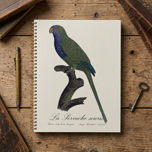 Monk Parakeet or Monk Parrot, Myiopsitta Monachus Planner