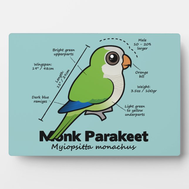 Monk Parakeet Statistics Plaque (Front)