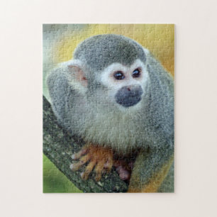 Monkey 004 jigsaw puzzle