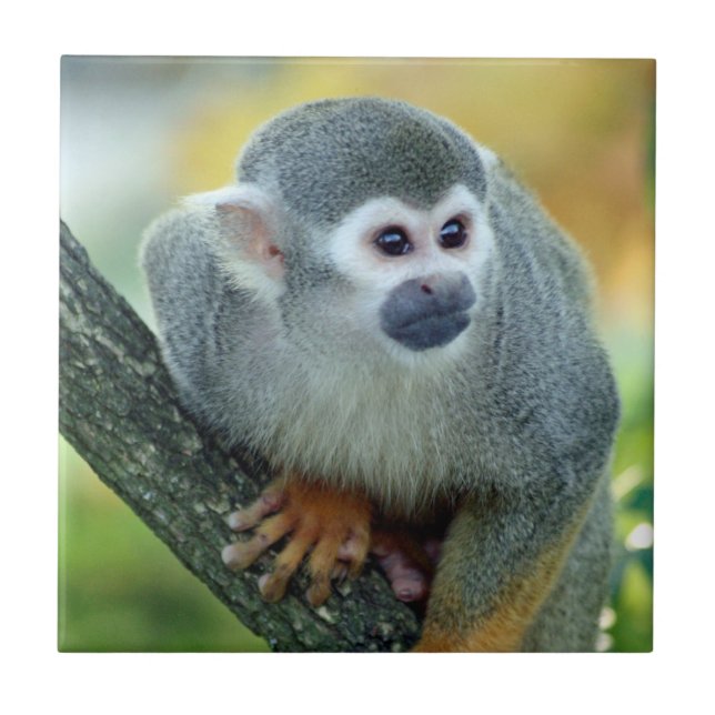 Monkey 004 tile (Front)